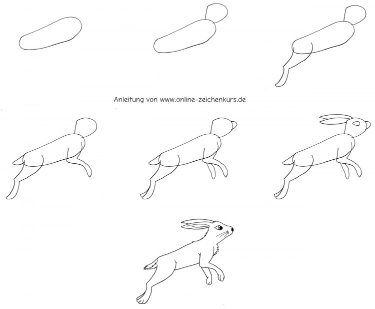Hüpfender Osterhase - Zeichnen Schritt für Schritt