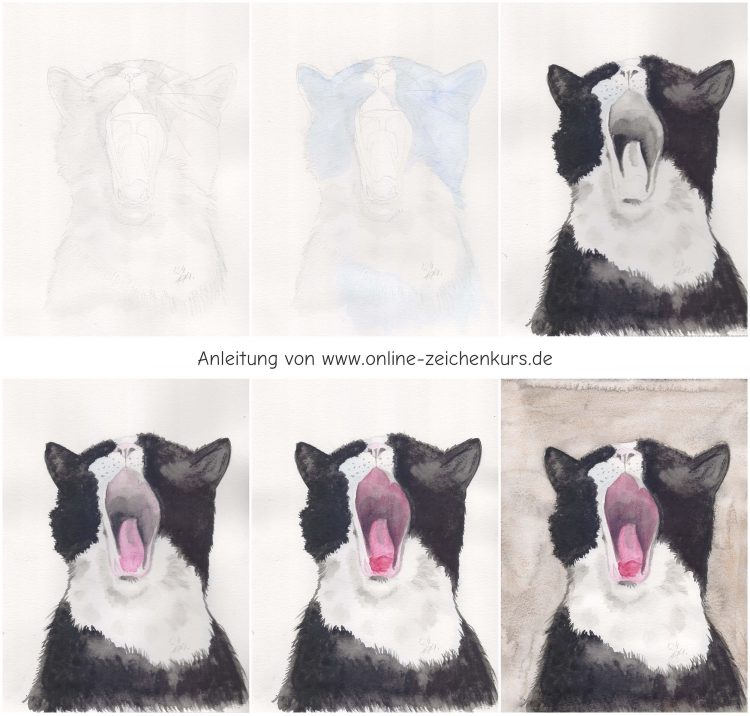 Gähnende Katze zeichnen mit Progresso Aquarellbuntstiften
