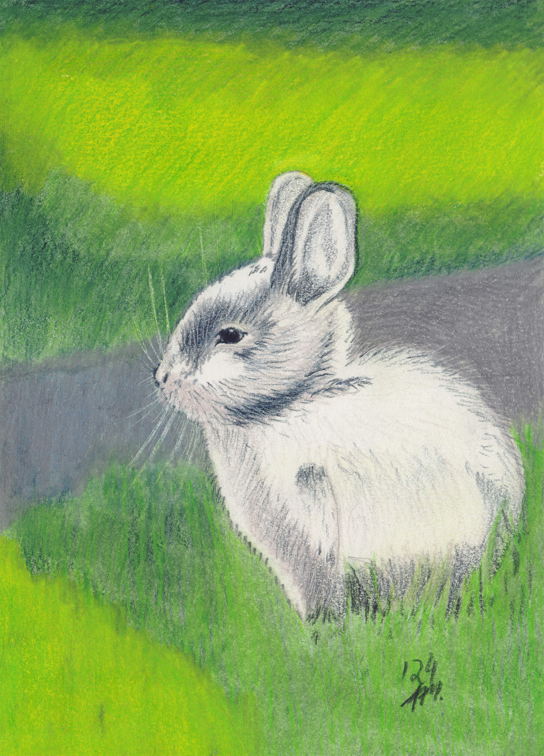 Graues Kaninchen Postkarte fertige Buntstiftkolorierung