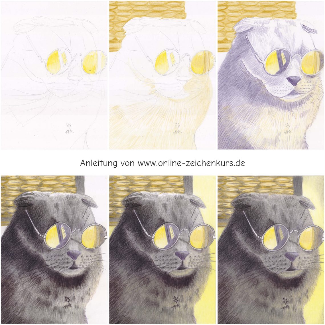 Katze mit Sonnenbrille zeichnen - Schritt für Schritt Buntstiftkolorierung