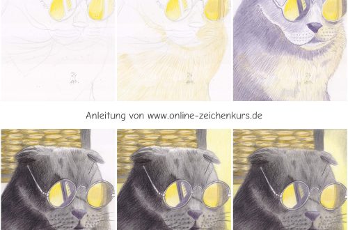 Katze mit Sonnenbrille zeichnen - Schritt für Schritt Buntstiftkolorierung