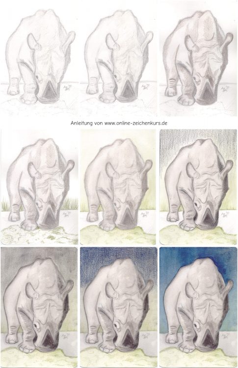 Nashorn mit W&N Studio Aquarellbuntstiften