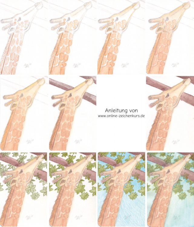 Giraffe mit W&N Studio Aquarellbuntstiften