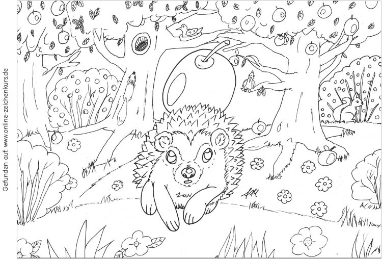 Herbsttiere Ausmalbilder für Kinder und Erwachsene