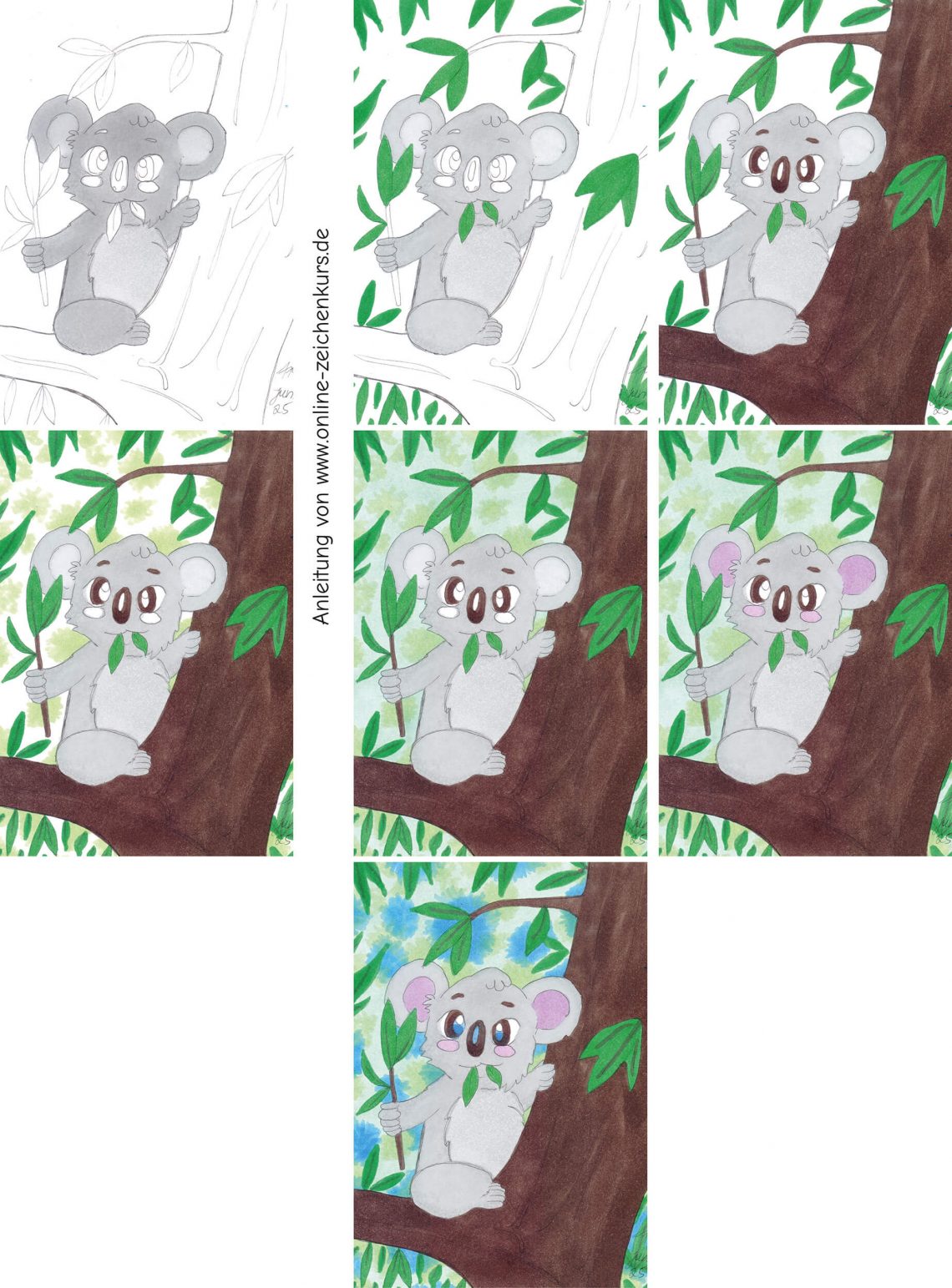 Sieben Schritte zur Kolorierung eines Koalas mit Eukalyptuszweig auf einem Baum, von der ersten Farbschicht bis zum fertigen Bild