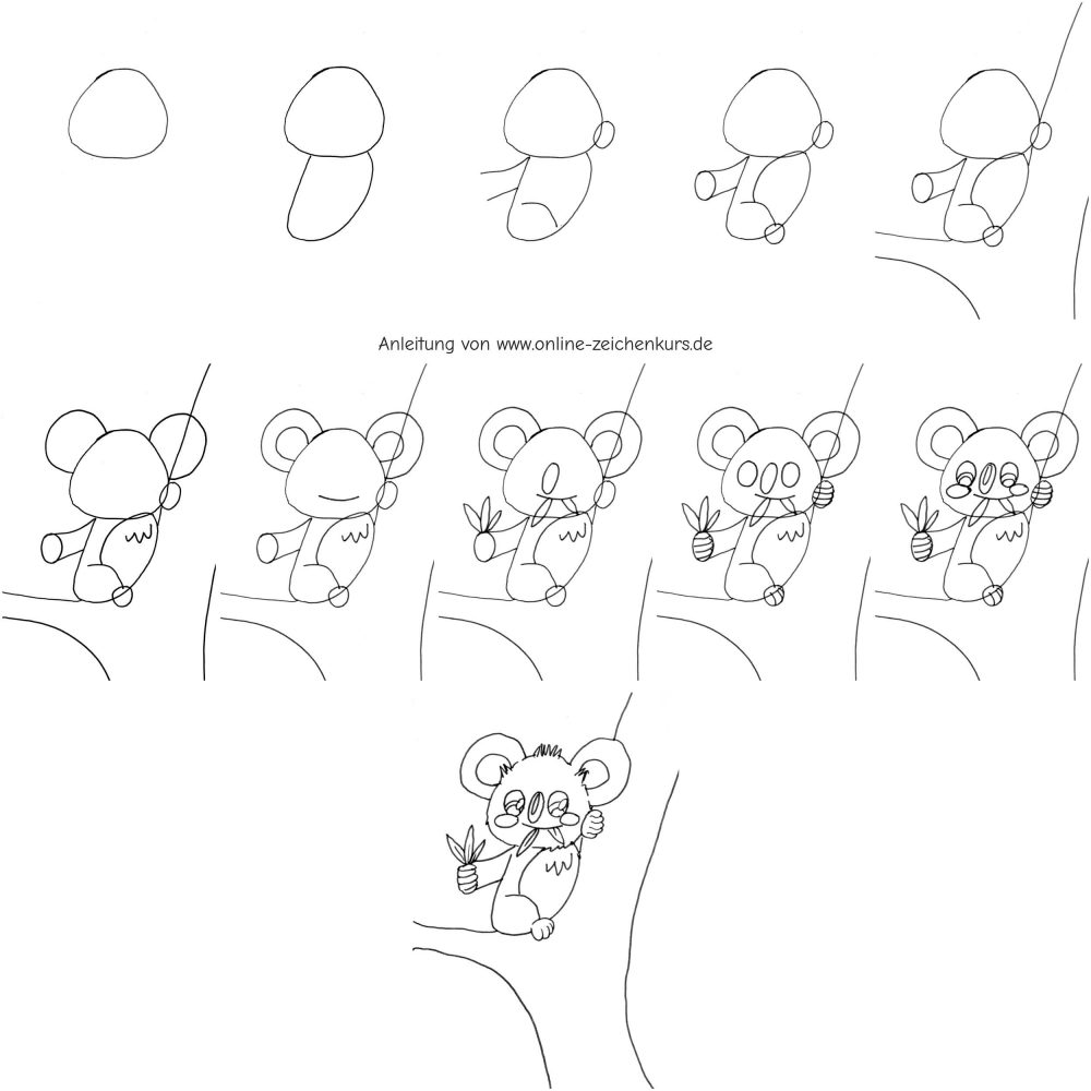 Zeichenschritte für Koala mit Eukalyptus auf Baum – leicht verständliches Zeichen-Tutorial