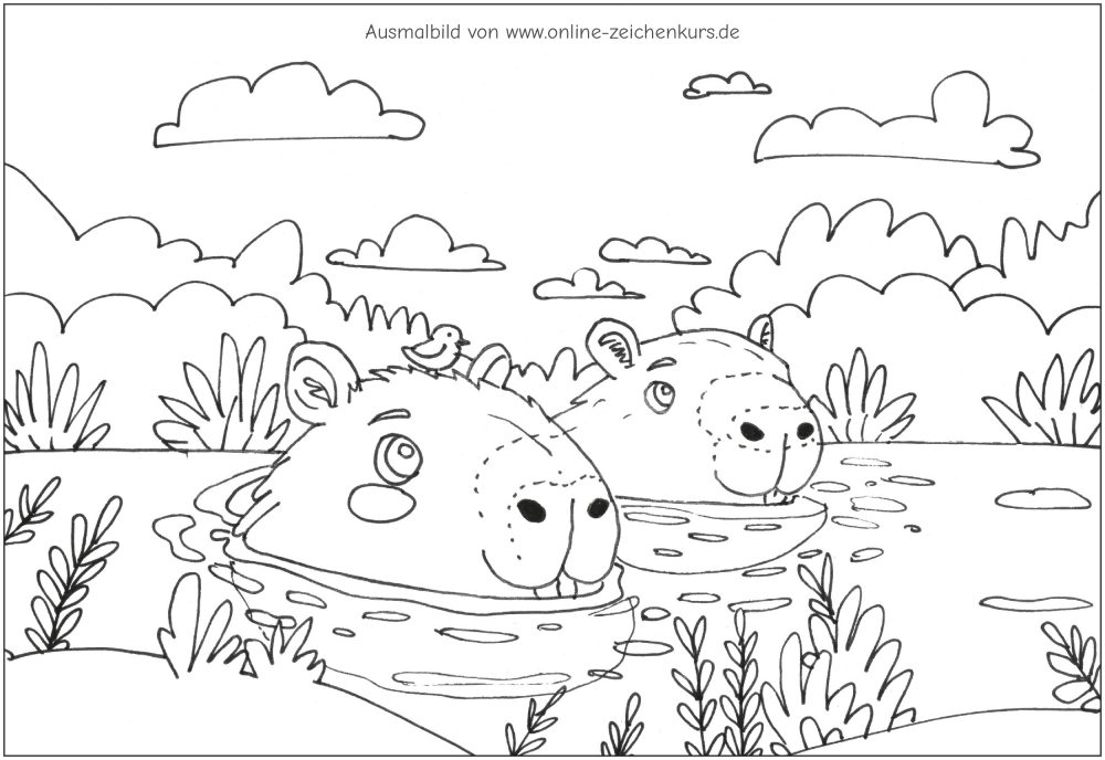 Zwei Capybaras schwimmen im Teich mit Vogel auf dem Kopf