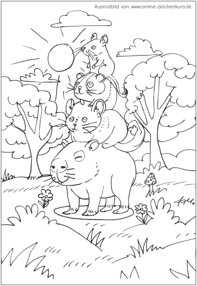 Maus, Chinchilla, Meerschweinchen und Capybara bilden eine Tierpyramide