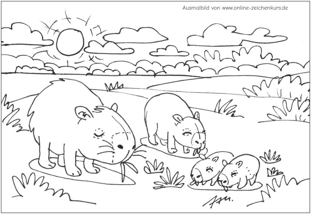 Capybara-Familie grast gemeinsam auf der Wiese in der Sonne