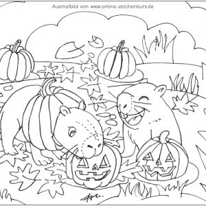 Zwei Capybaras spielen mit geschnitzten Kürbissen im Herbstlaub