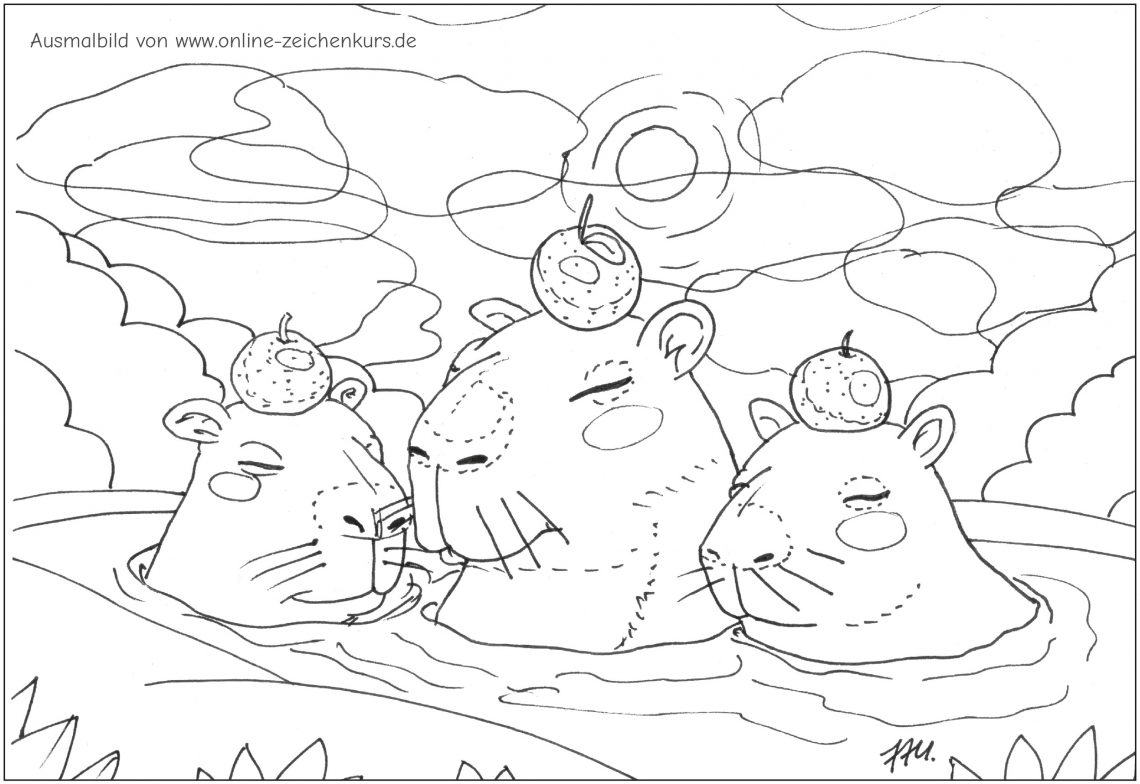 Drei Capybaras baden mit Orangen auf dem Kopf