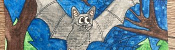 Lustige, freche Fledermaus mit großen Augen und schimmernden Flügeln, die durch die Nacht fliegt.