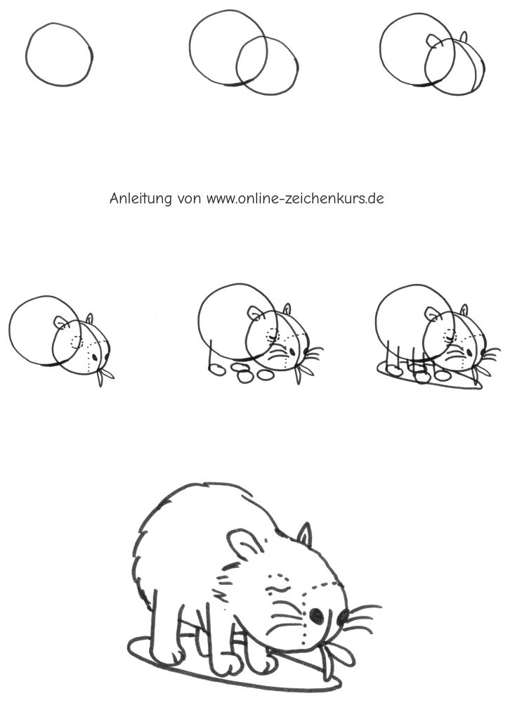 Capybara frisst Gras Zeichenschritte