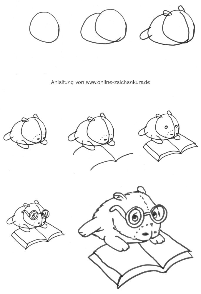 Capybara mit Brille liest Buch Zeichenschritte