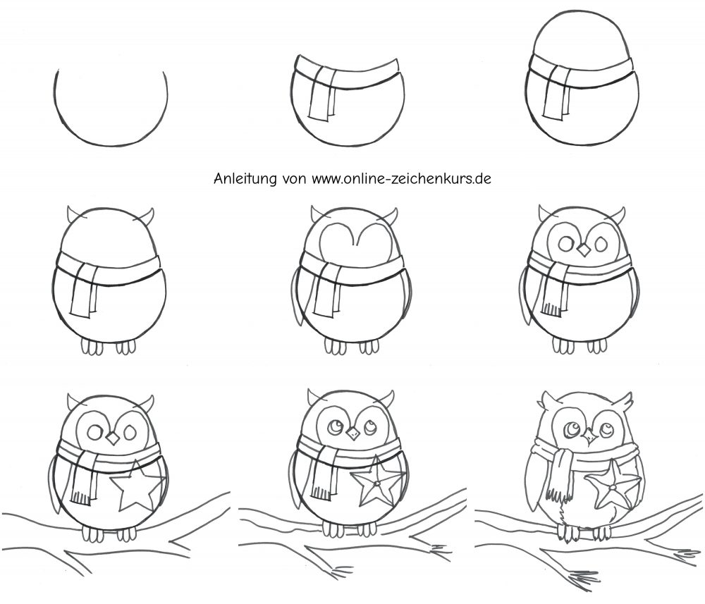 Handgezeichnetes Eulen Zeichentutorial mit Schal und Stern
