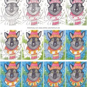 Kolorationsanleitung für einen Wolf mit gemustertem Schal und Wintermütze, illustriert in zwölf Schritten, die den Fortschritt von Schwarz-Weiß-Linien bis zur fertigen Farbzeichnung zeigen.