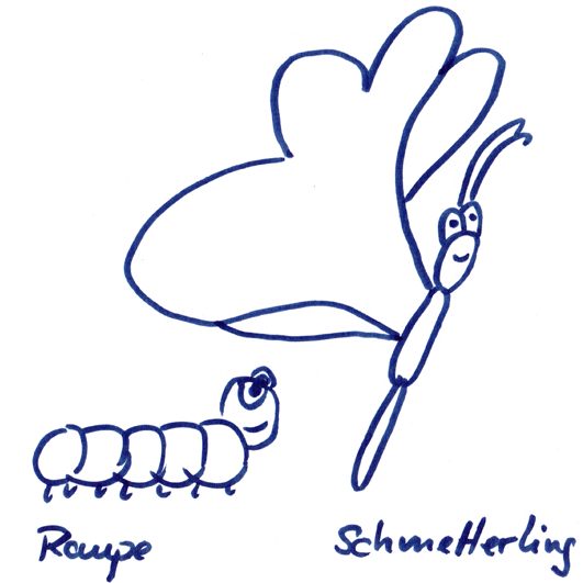 Entwicklung eines Schmetterlings