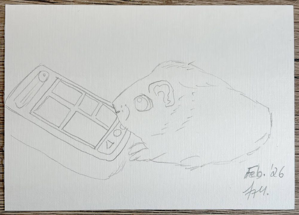Bleistiftskizze eines Meerschweinchens, das Salat am Smartphone bestellt, comichafter Zeichenstil