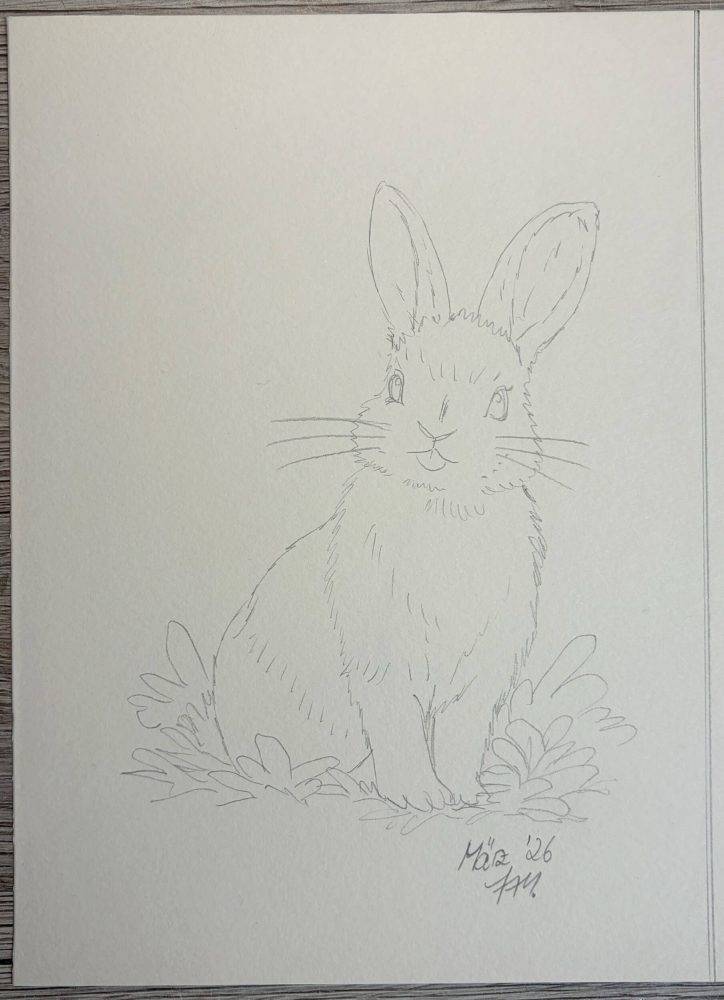 Saubere Bleistiftvorzeichnung von einem frechen Häschen auf Zeichenpapier