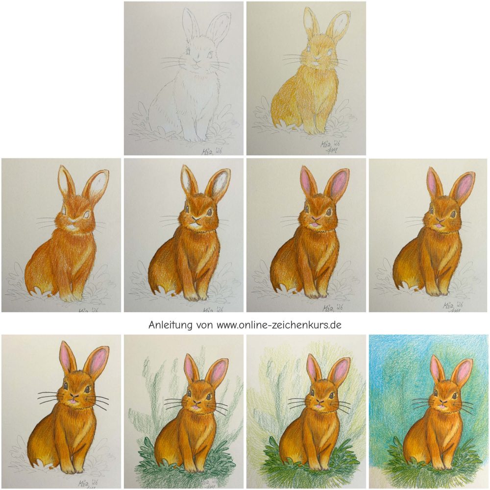 Schritt für Schritt Zeichenanleitung für ein freches Häschen mit Buntstift