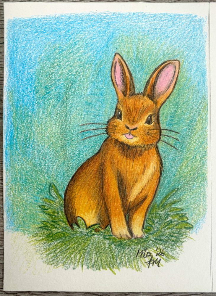 Fertig koloriertes freches Häschen mit Buntstiften auf Gras