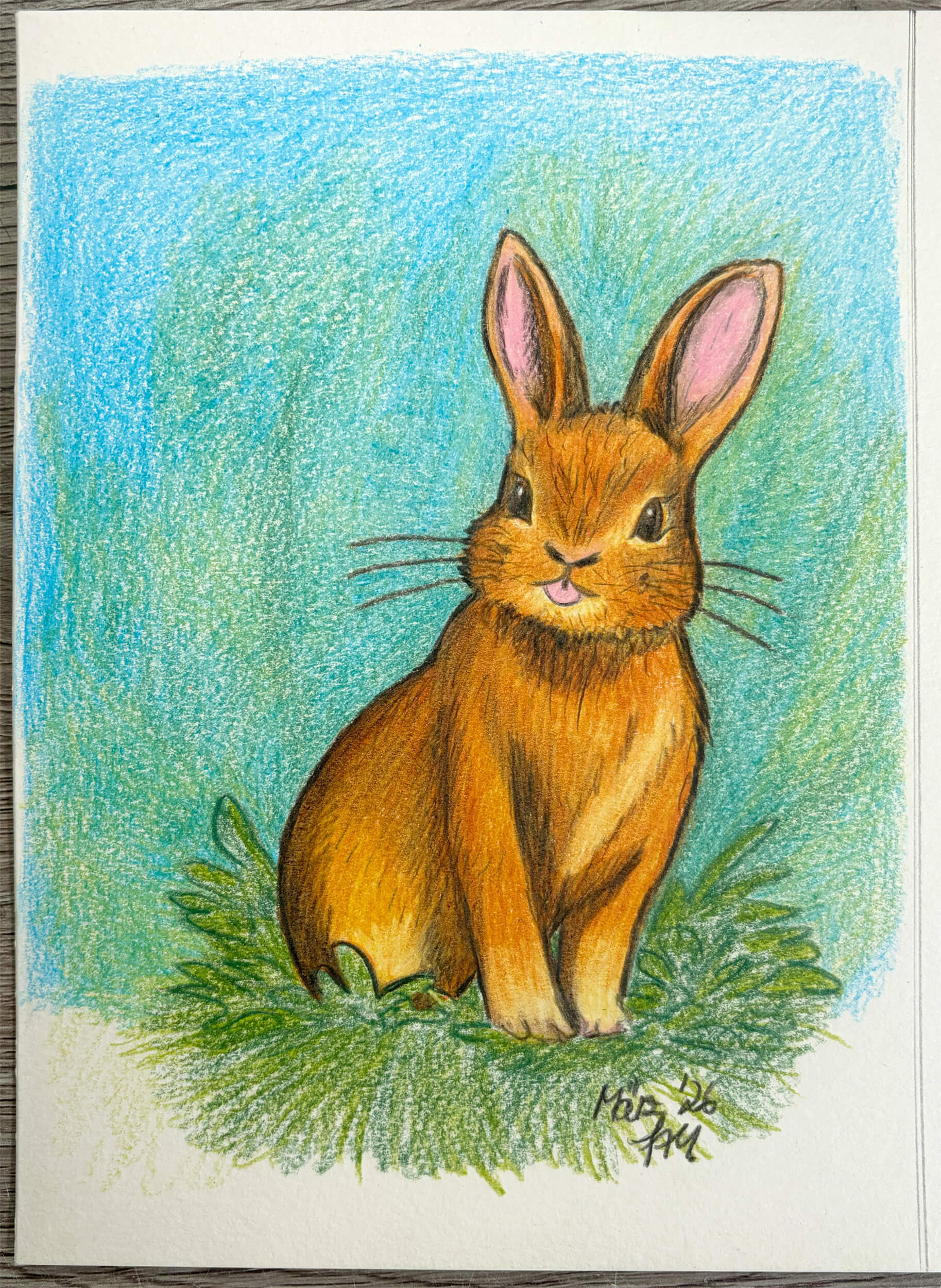 Fertig koloriertes freches Häschen mit Buntstiften auf Gras