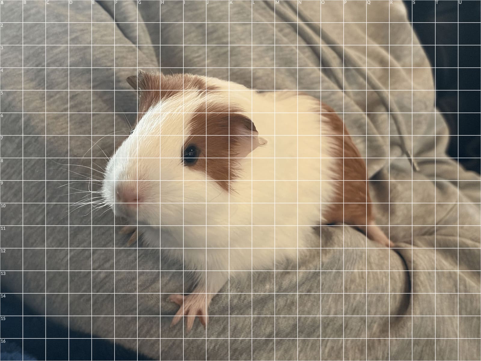 Raster-Tool: Raster 2 cm