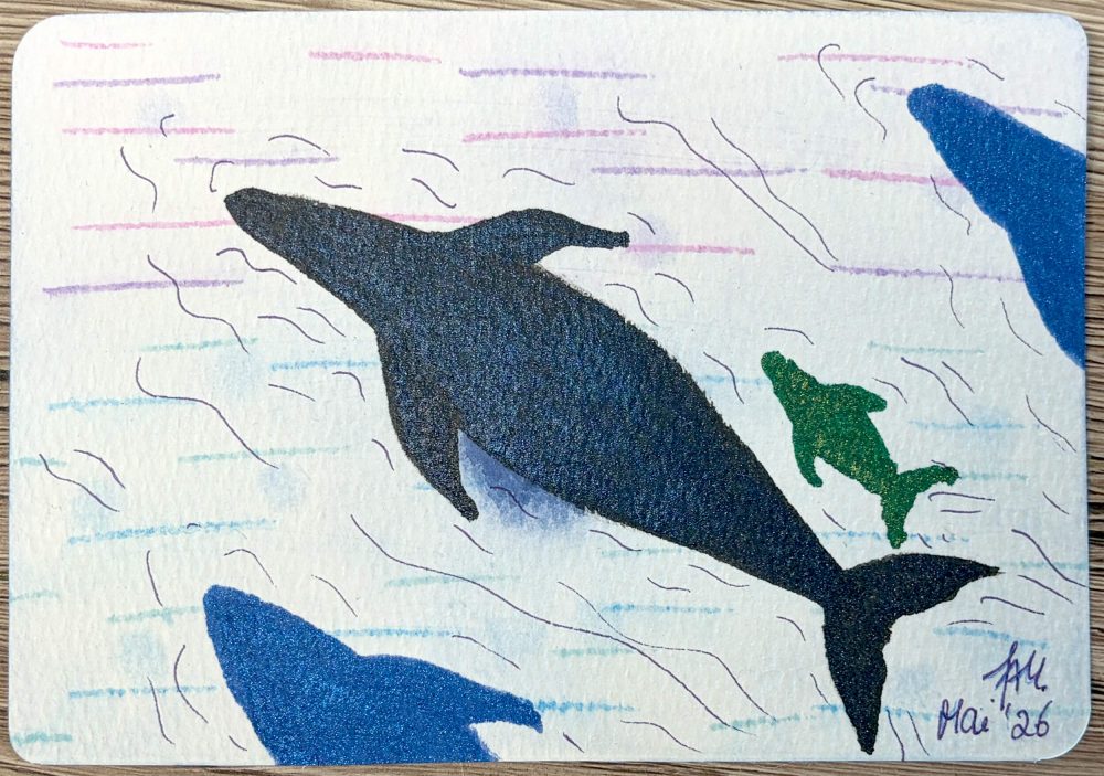 Postkarte Walfamilie von oben mit Aquarellfarben