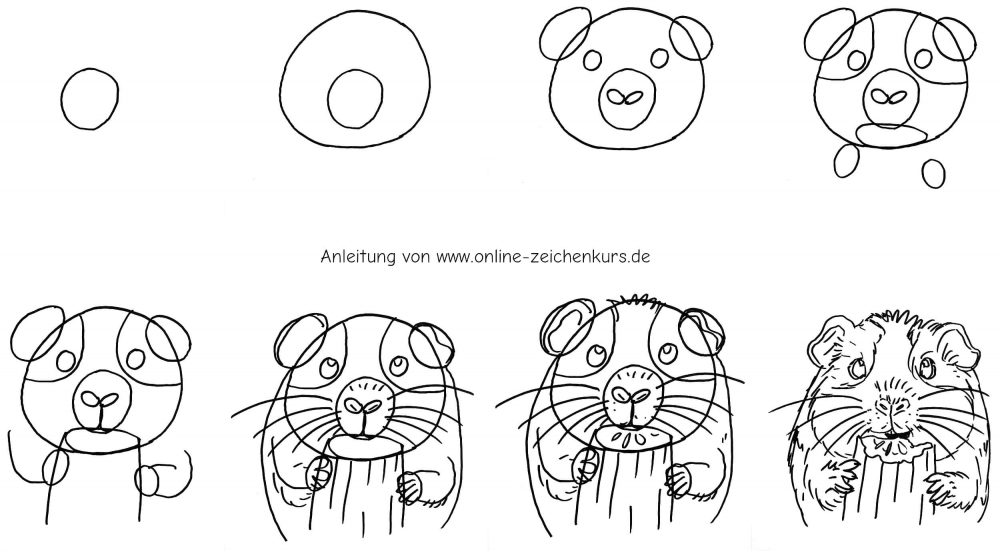 Meerschweinchen mit Gurke zeichnen als einfache Schritt für Schritt Anleitung