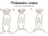 Erdmännchen zeichnen - Anleitung für Kinder 2