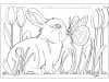 Osterhasen Ausmalbilder: Häschen mit Schmetterling auf der Nase und Tulpen